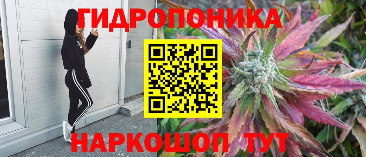 Шишки марихуана гибрид Заречный
